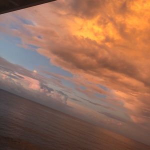 Meet your Posher, Josie